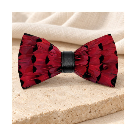 Noeud papillon en plume : Canard Rouge