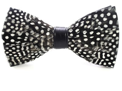 Le nœud papillon en plumes : pour qui, pour quand
