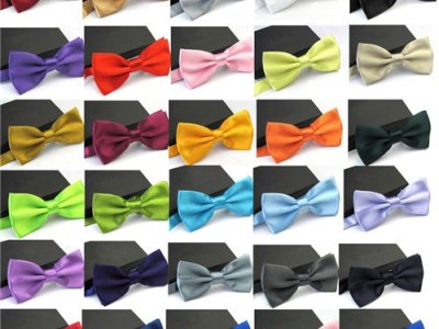 Nœud papillon de mariage : marié, témoin, invité